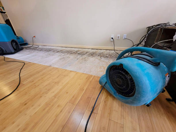 Professional Water Damage Repair technician working in Langley, WA